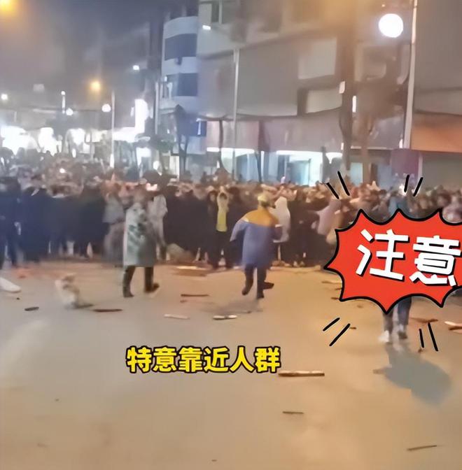 AG九游會(huì )·「中國」官方網(wǎng)站打鐵花失誤后續官方回應設置有安全距離！人群越過(guò)警戒線(xiàn)(圖8)